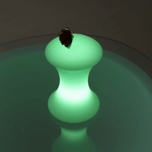 Lamp. MESA LED PE RGB C/CONTROL REMOTO IP68 PBB-1619 16*19cm